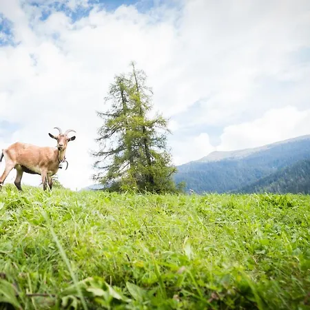 Ta Fratte Apartment Padola