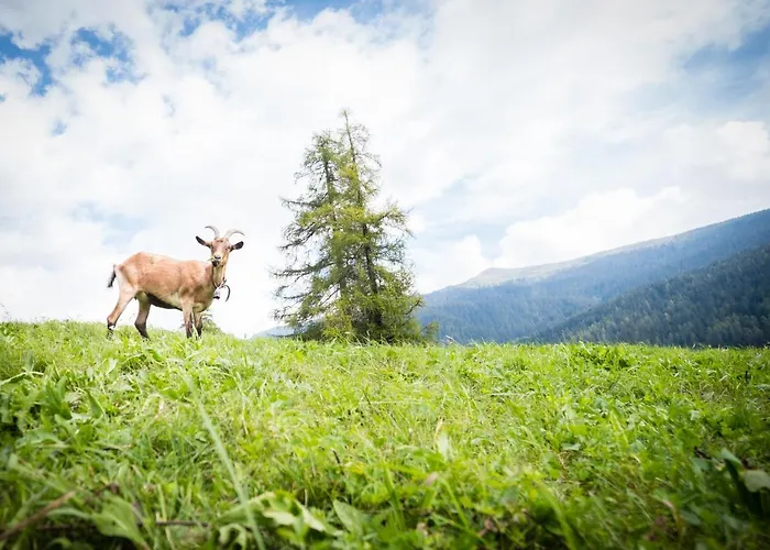 Ta Fratte Apartmán Padola