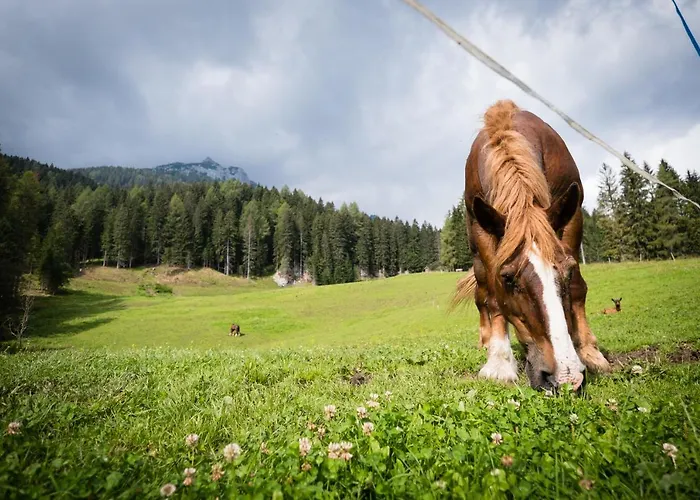 Ta Fratte Apartmán *