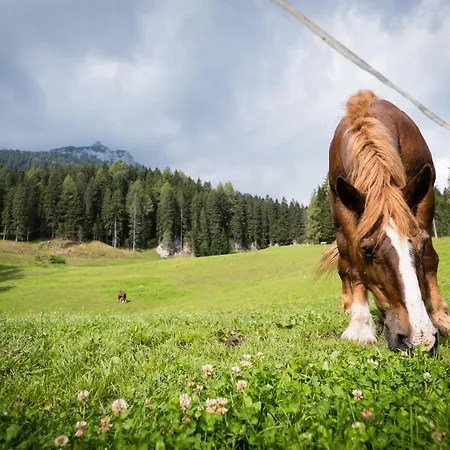 Ta Fratte Lejlighed *